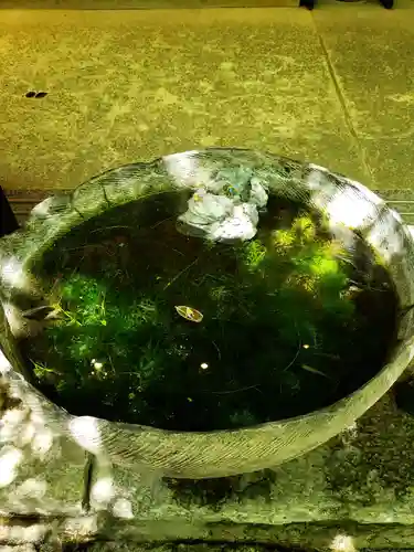 陽運寺(東京都)