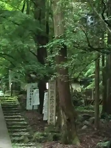 醍醐寺（上醍醐）の自然