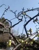 比佐豆知神社(三重県)