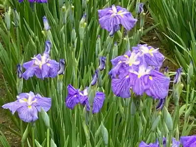 堀切天祖神社祖霊社(東京都)