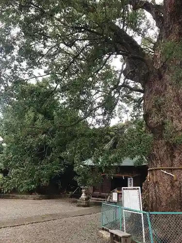 伊勢神明社(静岡県)