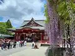 笠間稲荷神社の自然