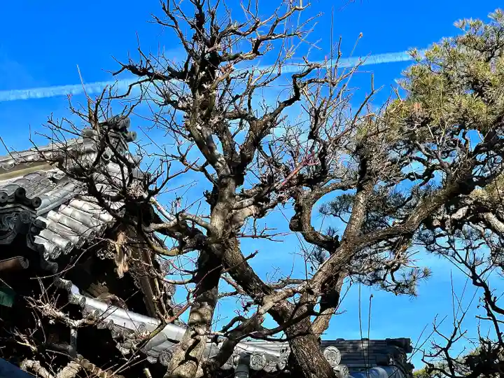 良性院(長野県)
