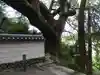 大興寺(香川県)
