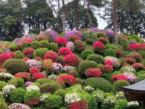 塩船観音寺(東京都)