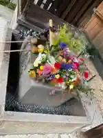 勝林寺(京都府)