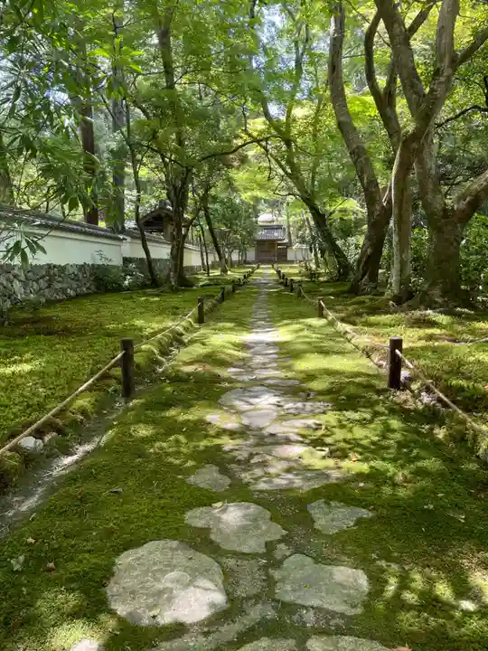 西芳寺(京都府)