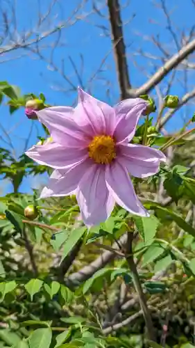 勧修寺(京都府)