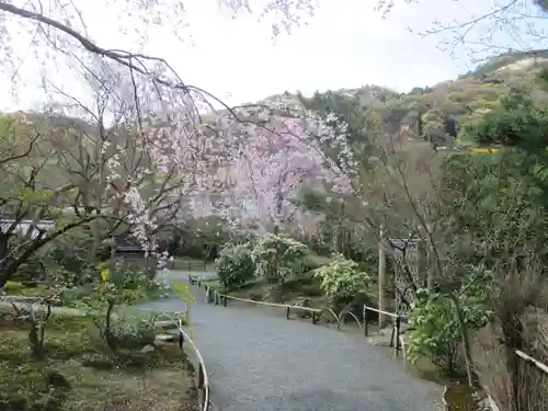 宝厳院の庭園