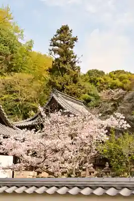 常信寺(愛媛県)