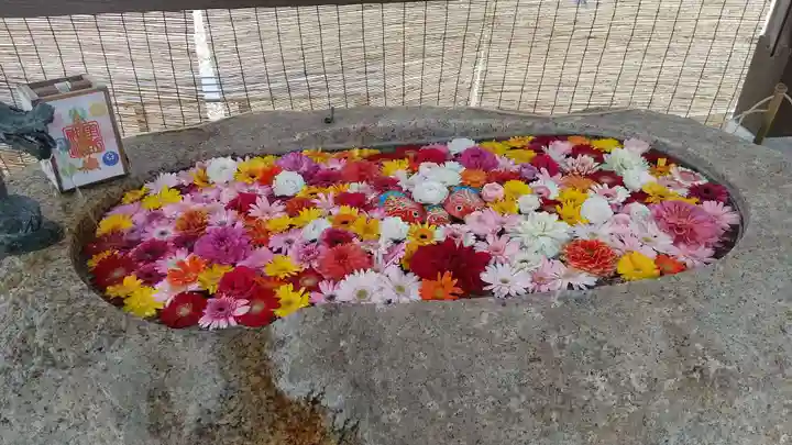 金井神社の手水舎