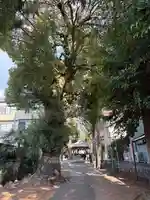 浅間神社(静岡県)