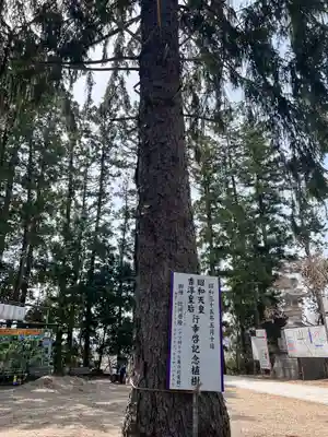 寒河江八幡宮(山形県)