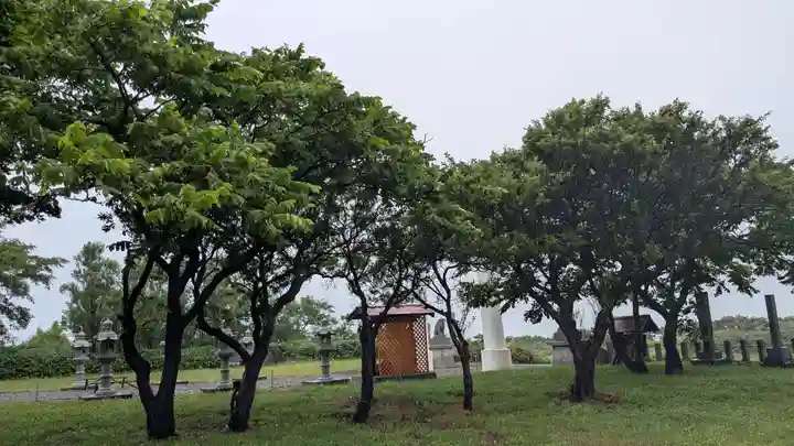 苫前神社の自然