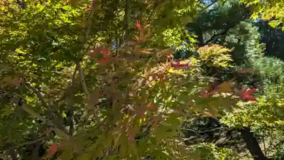 光明寺（粟生光明寺）(京都府)