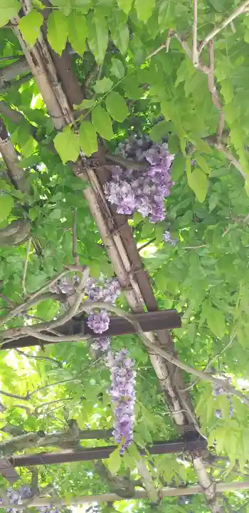 笠間稲荷神社の自然