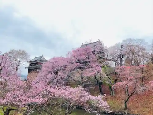 眞田神社の自然