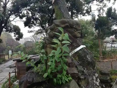 菊田神社の狛犬