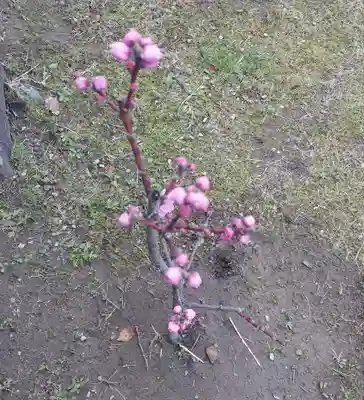 刺田比古神社(和歌山県)
