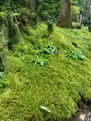 御岩神社の自然