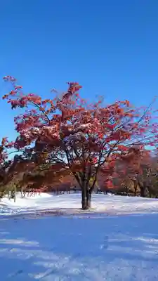 相馬神社(北海道)
