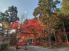 大原野神社(京都府)