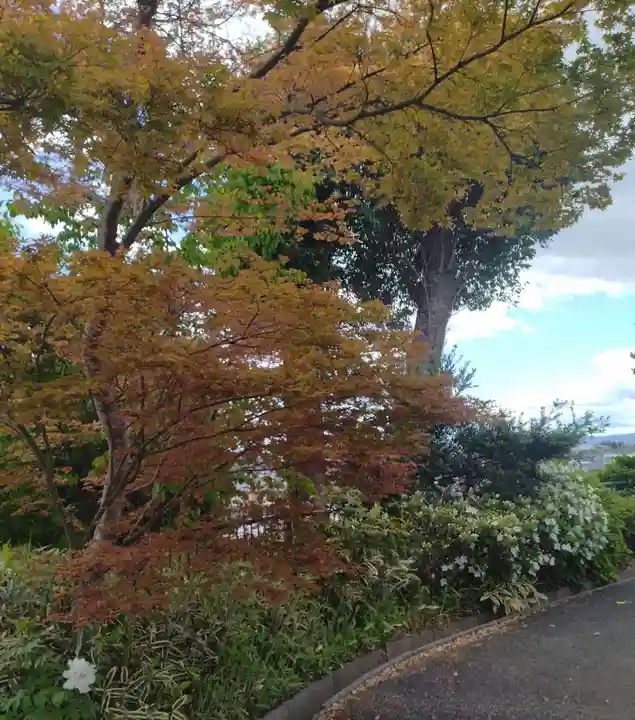 弘誓寺(宮城県)
