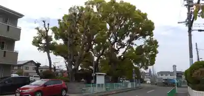 伯光神社の周辺