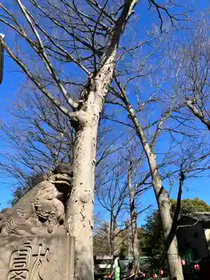 田無神社(東京都)
