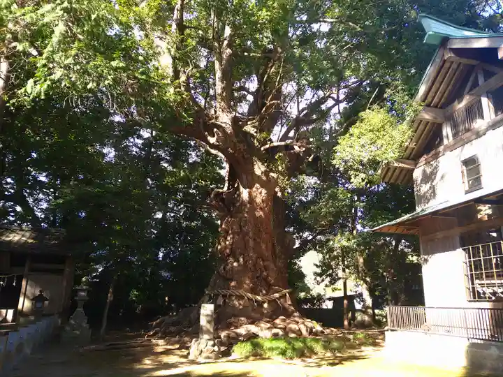 川津来宮神社(静岡県)