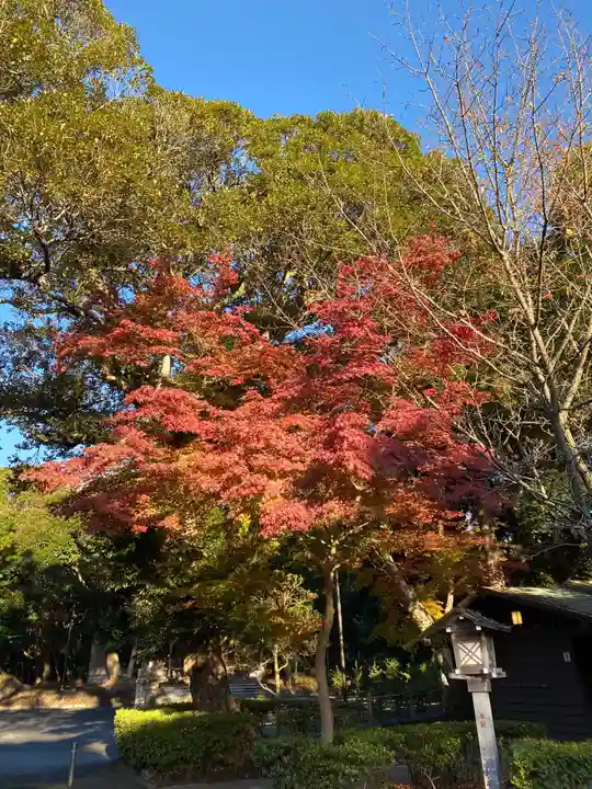 大洗磯前神社の庭園