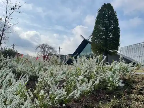 武蔵野坐令和神社の自然