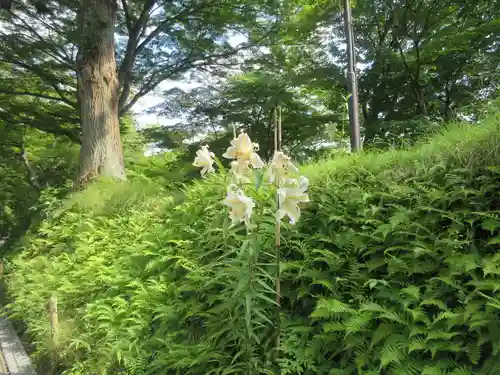 中尊寺(岩手県)