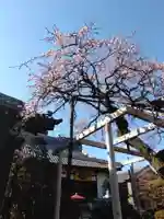 長善寺(東京都)