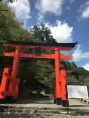 金櫻神社の鳥居