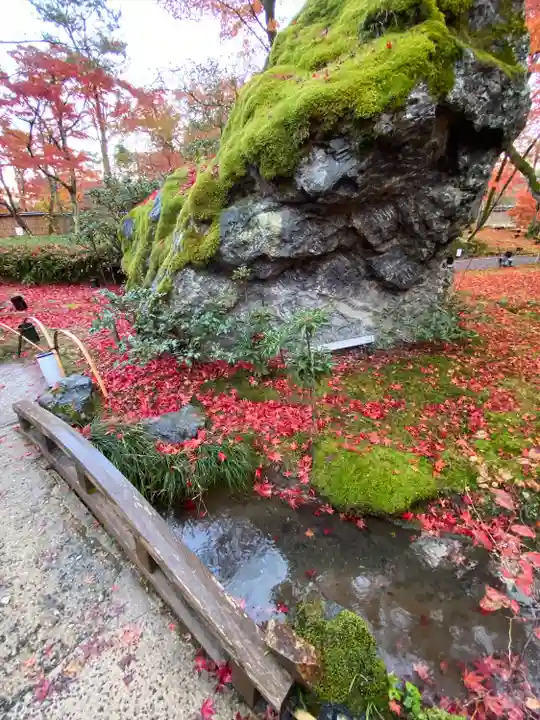 宝厳院(京都府)