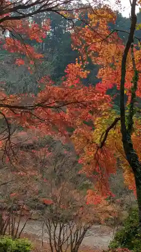 三室戸寺(京都府)