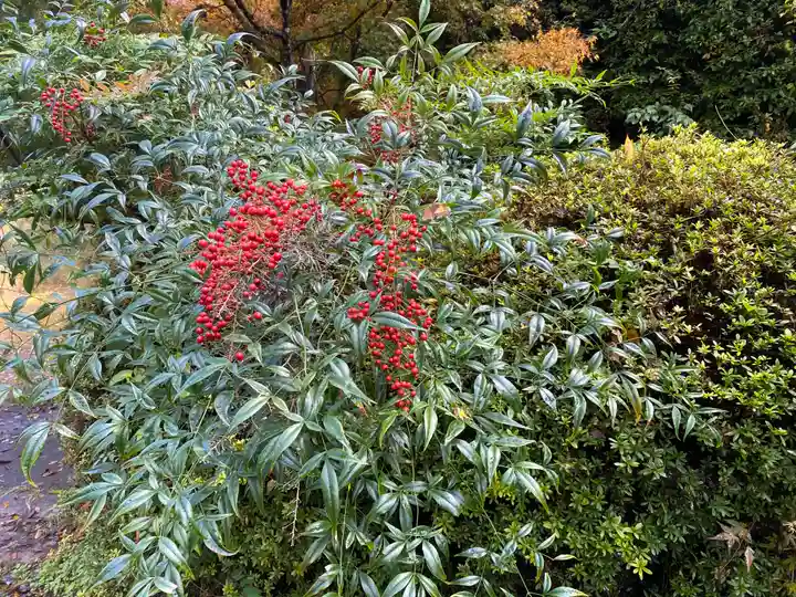 龍蔵寺(兵庫県)