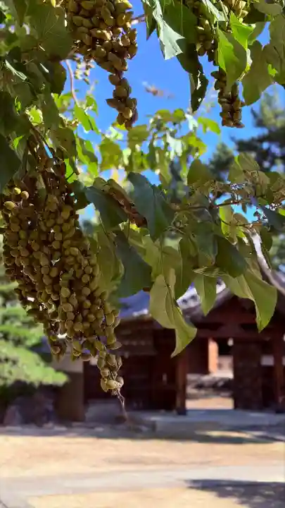 徳源寺(愛知県)