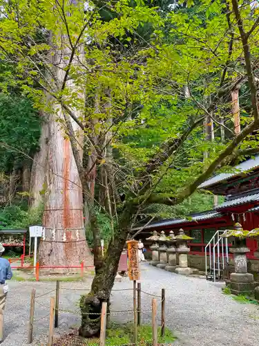 日光二荒山神社の庭園