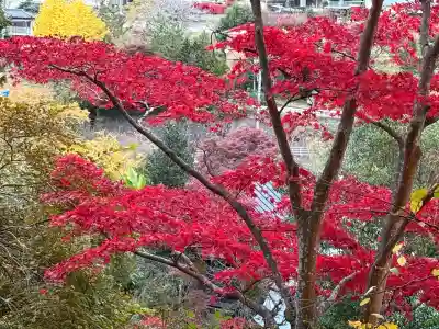 秩父御嶽神社(埼玉県)