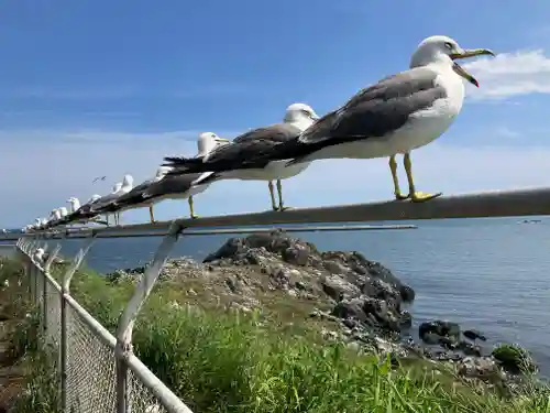 蕪嶋神社(青森県)
