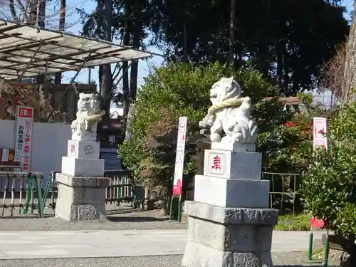 亀ケ池八幡宮の狛犬