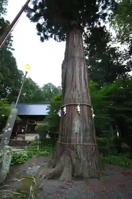 河口浅間神社(山梨県)