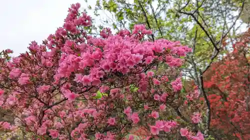 梅宮大社(京都府)