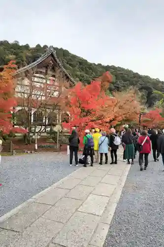 禅林寺（永観堂）(京都府)
