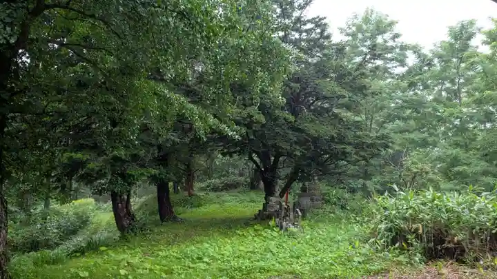 観音寺奥之院の自然