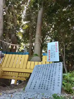 ほしいも神社(茨城県)