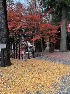 日枝神社(岐阜県)(2024年11月19日(火) 08時49分38秒投稿)
