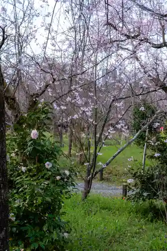 平野神社(京都府)